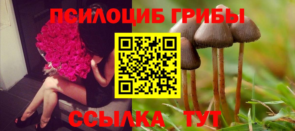 закладки  Вход с VPN  Псилоцибиновые грибы Magic Shrooms  Нефтекамск  Псилоцибиновые грибы GOLDEN TEACHER 